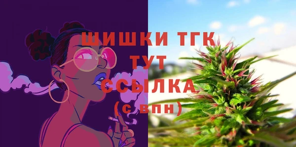 гашик Белоозёрский