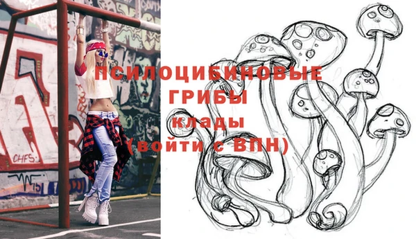 гашик Белоозёрский
