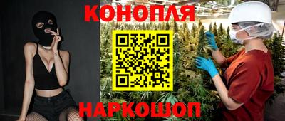 гашик Гусь-Хрустальный