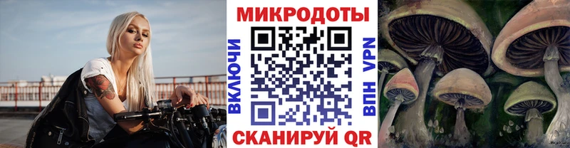 Псилоцибиновые грибы мухоморы  наркота  Бутурлиновка 