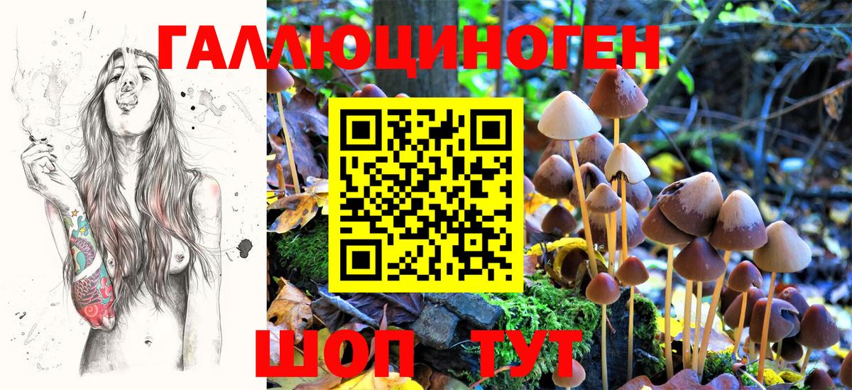 Псилоцибиновые грибы GOLDEN TEACHER Бутурлиновка