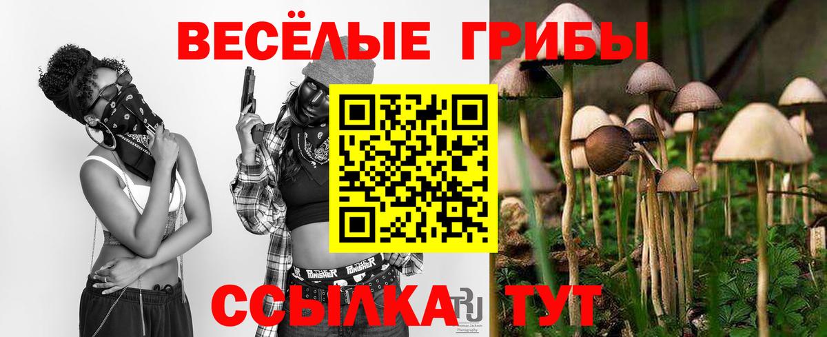 Галлюциногенные грибы мицелий  Бутурлиновка  магазин продажи   Галлюциногенные грибы MAGIC MUSHROOMS 