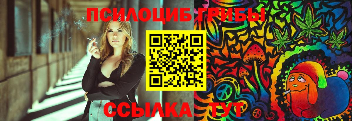 Псилоцибиновые грибы мицелий Бутурлиновка