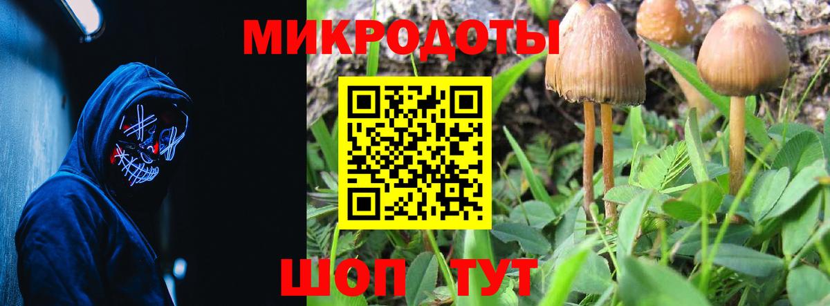 Бутурлиновка  Галлюциногенные грибы Cubensis  Вход с VPN 